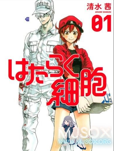 小畑健or腐女子的胜利 书店店员选出下一部火爆漫画